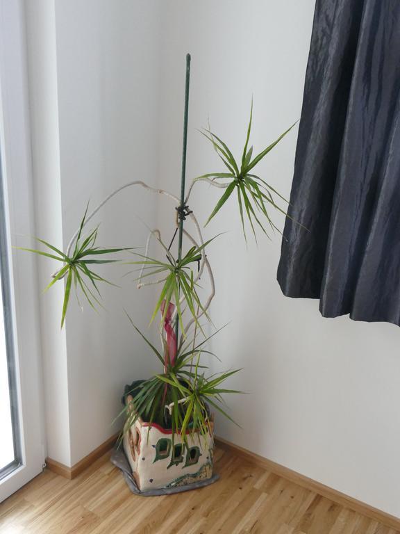 Chads City Apartment Mit Tiefgarage Free Parking Graz Bagian luar foto